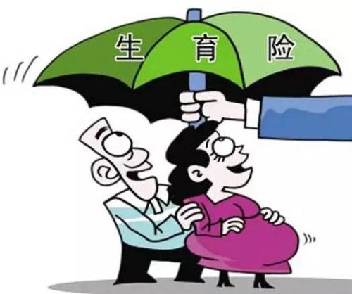 女性生育保險(xiǎn)能報(bào)多少錢(qián)？ 第1張