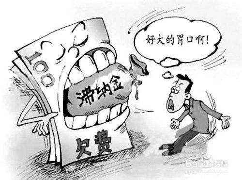 補繳社保滯納金怎么算？ 第1張