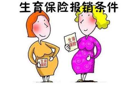 生育津貼領取條件,領取流程 第1張 生育津貼領取條件,領取流程 第1張